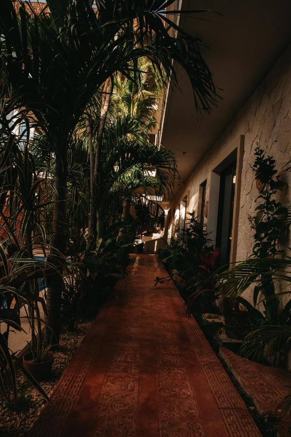 Hotel Lechuga De Mar Tulum With Pool And Beach Club Access 외부 사진